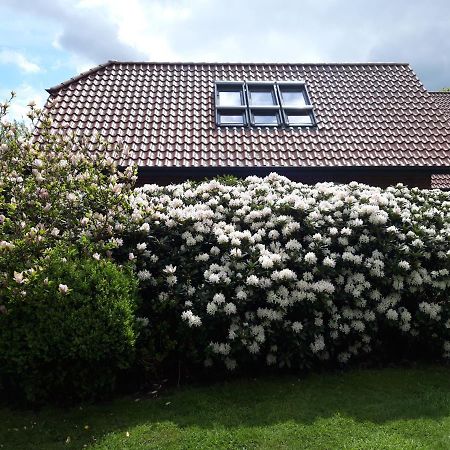 Ferienhof Kleemann Barssel  Exteriör bild