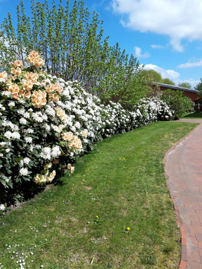 Ferienhof Kleemann Barssel  Exteriör bild